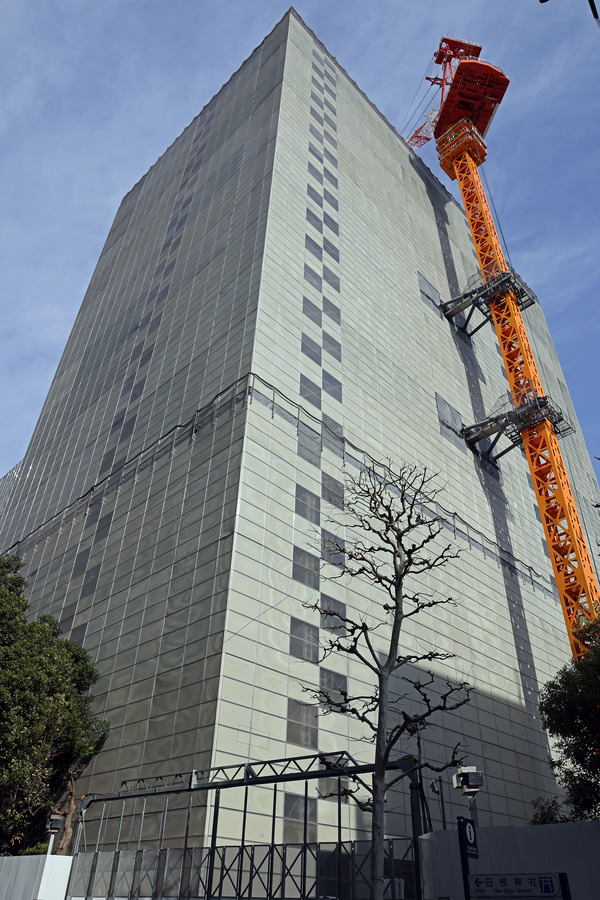 ��ݿ��ֺ�ӥ�����