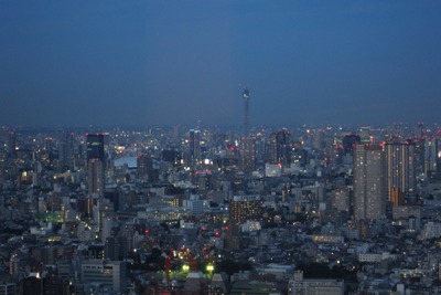 ���ɥ������ɥ����������������ĥ꡼���̤����