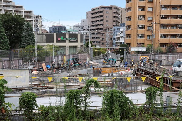 �Ķ����Ķ����϶�����Գ��ϺƳ�ȯ����