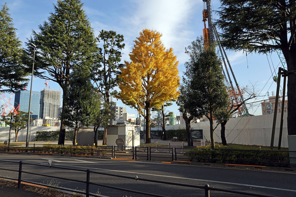 ��Į�Ҥ���