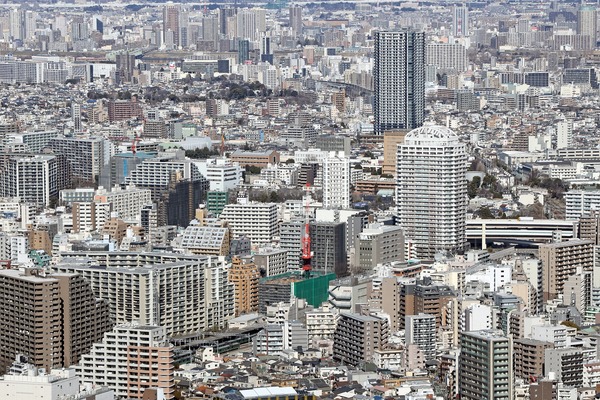 ÈͶ±ØÈͶ¸ýÃ϶èÂè°ì¼ï»Ô³¹ÃϺƳ«È¯»ö¶È