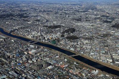 ����ζ���