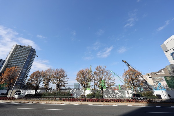 ���Ļ��������϶�Գ��ϺƳ�ȯ����