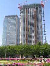 TOKYO �ꡦ�ǥ�����