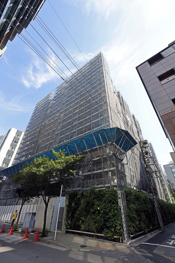 ���ܶ���Į����ӥ�ǥ��� &forest