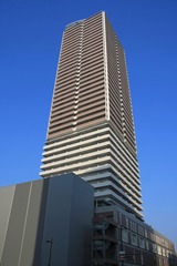 ���쥷�ƥ����43