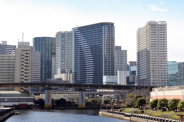 ��ӥ��������