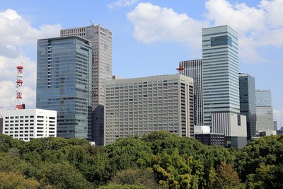 �ĵ狼�鸫������ʪ���ӥ�