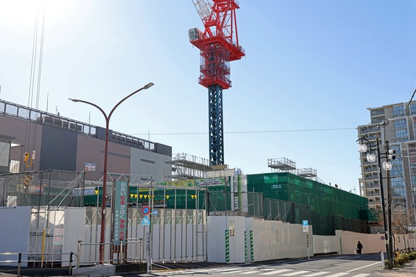 �Ķ����Ķ����϶�����Գ��ϺƳ�ȯ����