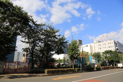 (����)TGMM�Ǳ��ץ���������