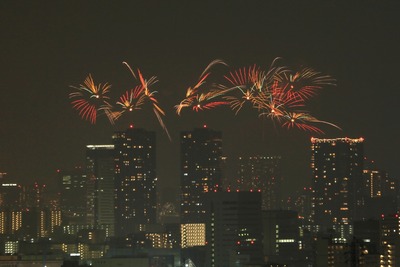 ��23���������ڲк�