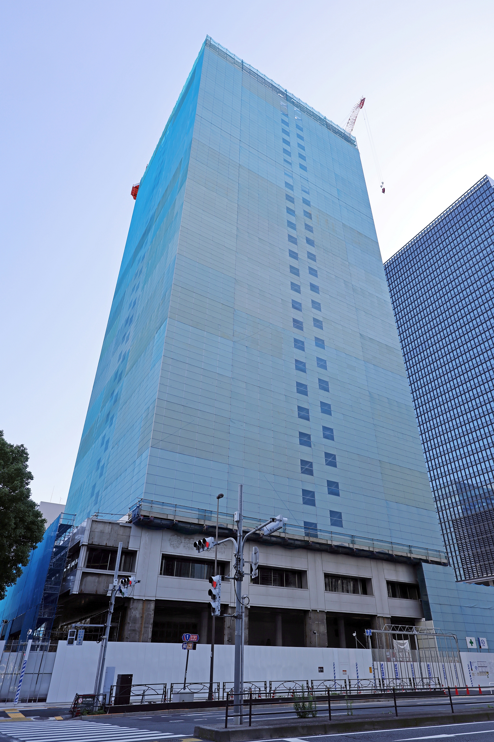 さち　高さ約90㎝大株ビルベリー さち 高さ約90㎝大株ビルベリー さち様専用 高さ約90