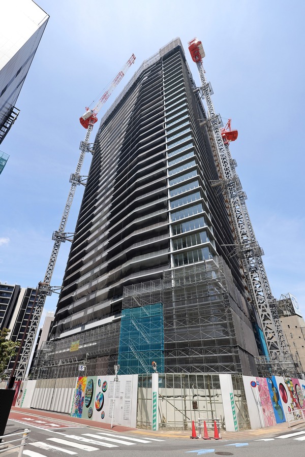 ��ӥ��������