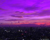 �ȥ磻�饤��