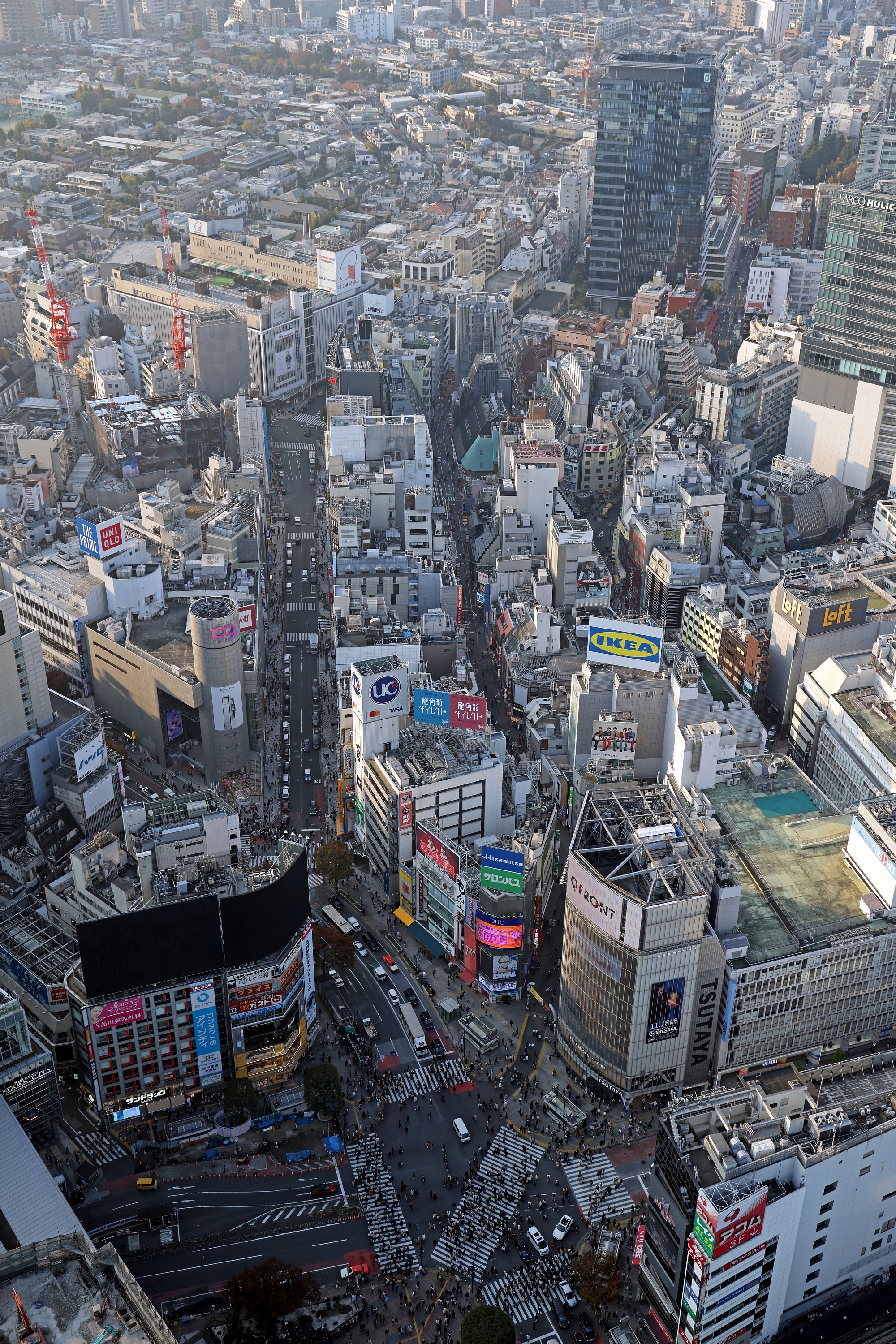 オックスフォード 建築辞典 (オックスフォード辞典シリーズ