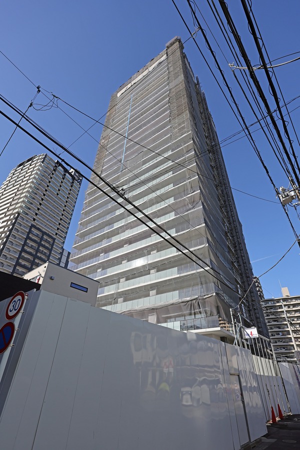 �ѡ�����������Į