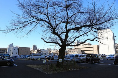 (²¾¾Î)ÆîÃÓÂÞ°ìÃúÌܷײè