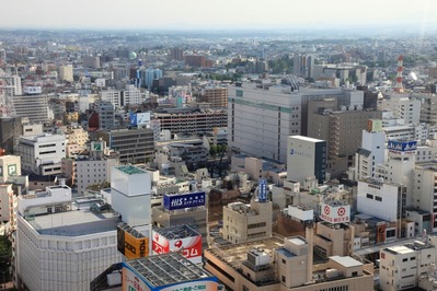 �ӥå����������į��