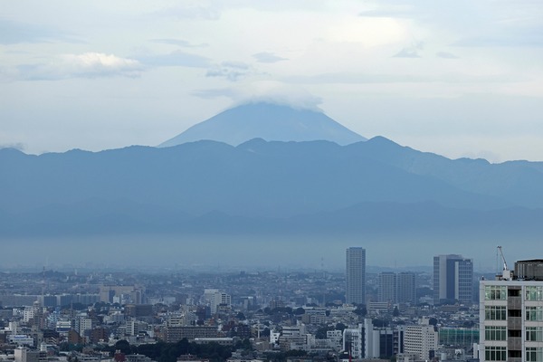 ニュウマン高輪 LUFTBAUM 翠の庭からの眺め