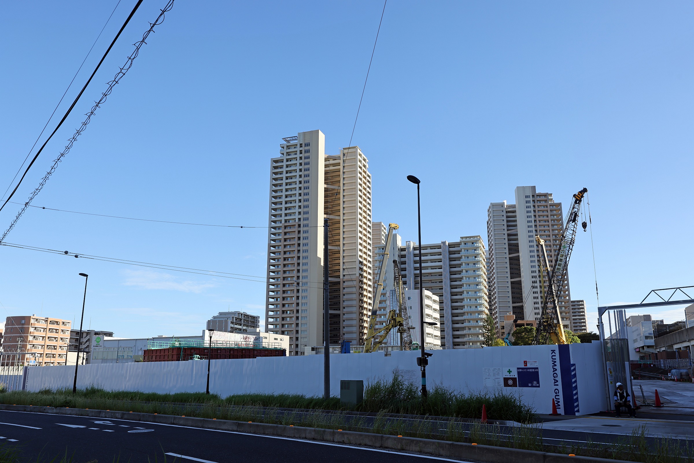 松柏 Madrid Big Buckle High Shine