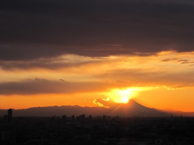 �ϡ���ͥ���������������������ٻΡ��ΰ��������