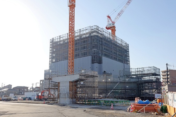 �ץ�ߥ��ȥ����Τ��