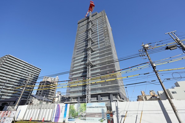 �ѡ�����������Į