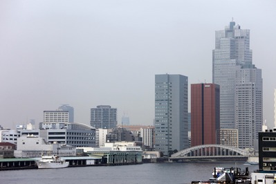 �쥹�ȥ�󥷥åס�������ƥ��󤫤�����������ĥ꡼