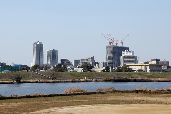 �ѡ������ƥ����� �� ���