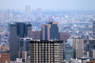 �����ģ��������������ĥ꡼