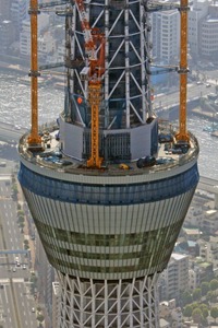 ����������ĥ꡼�ζ���