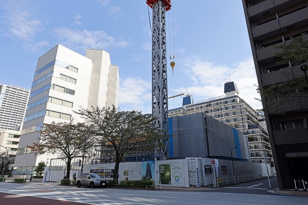 ���ƥ���������Į