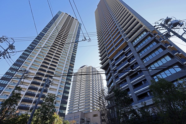 �����ɥ᥾���Ӳ���������ȥ����ɥ᥾��The�Ӳ������ǥ󥿥