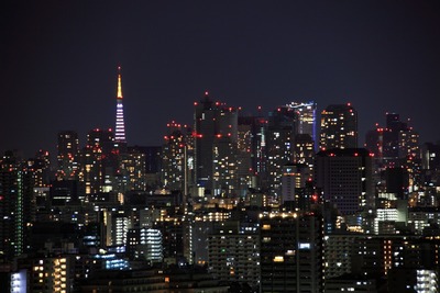 2011ǯ�ǽ��������