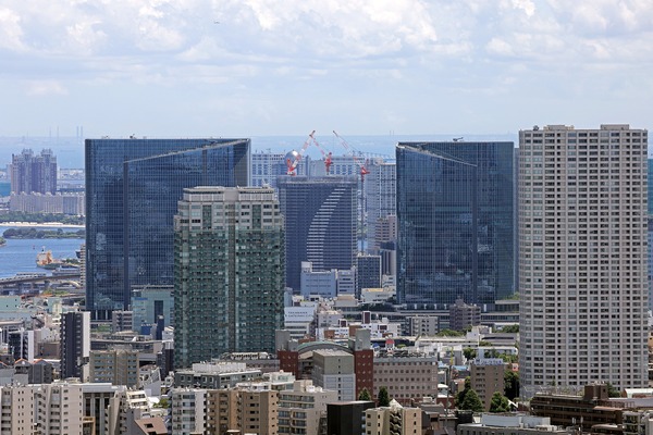 ��ӥ��������