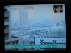 ���ͤΥ֥���