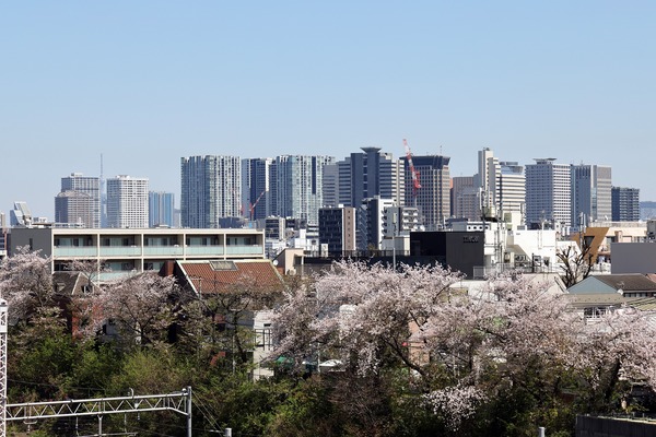 ���ơ������ץ饶���鸫��ŷ�����������Ķ���إӥ뷲
