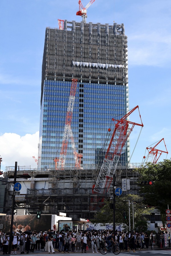 (����)��ë�غ��ָ��϶�����Ƴ�ȯ���� A����