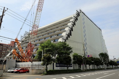 ²òÂÎÃæ¤Îµì¥Ð¥ó¥À¥¤¥Ê¥à¥³Ì¤Í踦µæ½ê