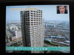 ���ͤΥ֥���