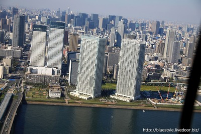 �����ζ���