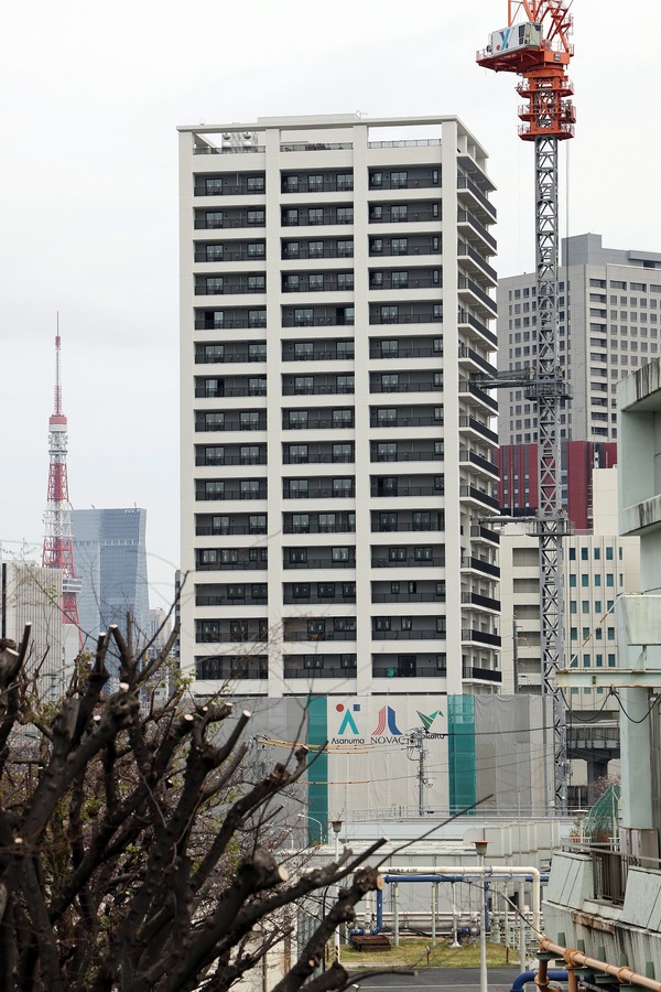 ¥·¥Æ¥£¥Ï¥¤¥Ä¹âÉÍ