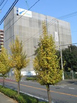 �����ɥ��ơ�����������