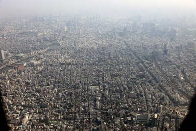 ����������鸫�����