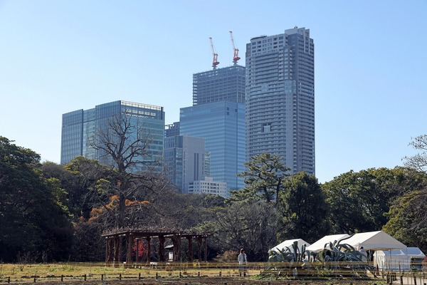 �����ǰץ��󥿡��ӥ�ǥ����ܴ�