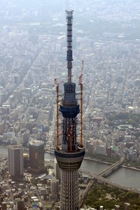 ����������ĥ꡼�ζ���