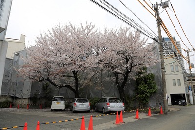 ������������϶�����Գ��ϺƳ�ȯ���� B����