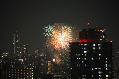 ������ֲ����