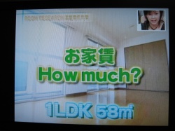 ���ͤΥ֥���