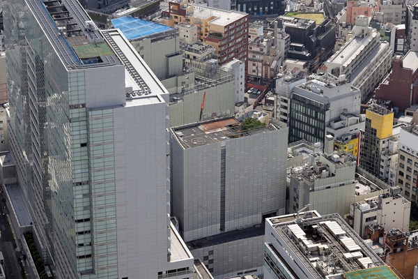 ƻ�������������϶�����Գ��ϺƳ�ȯ����